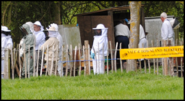 Our TeachingApiary